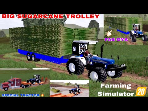 Kaint 🔥 ਕਮਾਦ / sugarcane ਦੀ ਵਾਡੀ || big sugarcane trolley fas gyi | new holland full power || #fs20