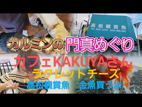 カルミンの門真めぐり【ラクレットランチのカフェKAKUYA さん】【金魚といえば高松観賞魚店】