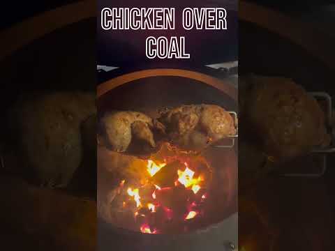 baby chicken over coal tasty food #viral #shortvideo #shorts #tasty #chicken #cooking  #tastyfood