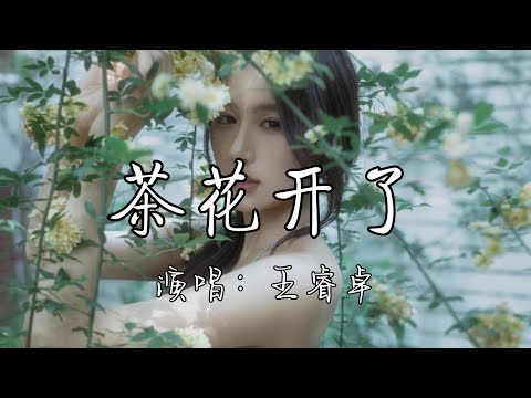 王睿卓 - 茶花开了『外婆啊 我梦见你说我 说我在外头要好好吃饭，外婆啊 我知道你想我了 我会回去陪你去采茶。』『动态歌词MV』