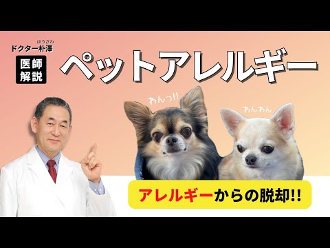 【医師解説】ペットアレルギーからの脱却！