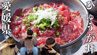 【ご当地グルメ】愛媛県の郷土料理「ひゅうが丼」が旨すぎた！！【愛媛県】