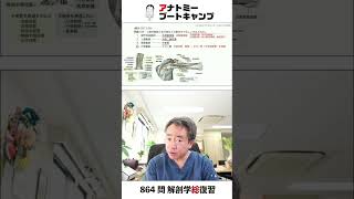 【国試1分道場・脈管】上肢の動脈と走行部位との組合せで正しいのはどれか。　１．肩甲回旋動脈 ── 外側腋窩隙　２．上腕動脈 ── 外側二頭筋溝　３．橈骨動脈 ── 手根管　４．尺骨動脈 ── ギヨン管