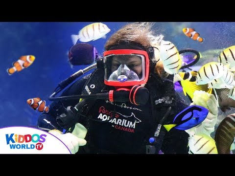 Ripley's Aquarium Toronto Canada Full Tour