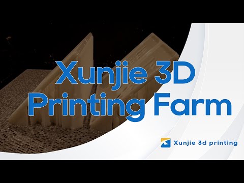 Xunjie 3D - A Leading Custom 3D Printing Service Farm