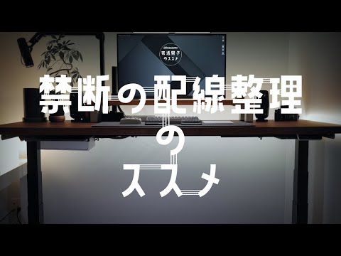 【 Flexispot 配線 】配線の乱れにさようなら！ 超簡単 配線整理 パーフェクトガイド