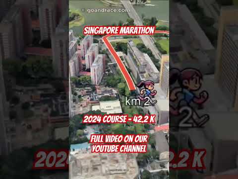 Singapore Marathon 2024: fly over the marathon course! Video of the race path.