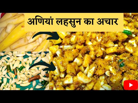 sahajan ka achar/aniyon ka achar /lahasun ka achar /mix achar/aniyan lahasun ka achar