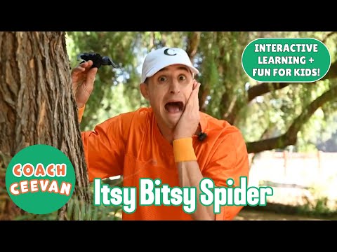 Itsy Bitsy Spider - Halloween Nursery Rhyme - Music For Kids