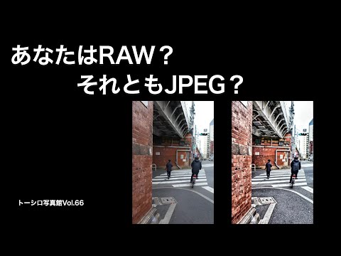 【ファイル形式の選択】写真を撮るときにRAW？それともJPEG？