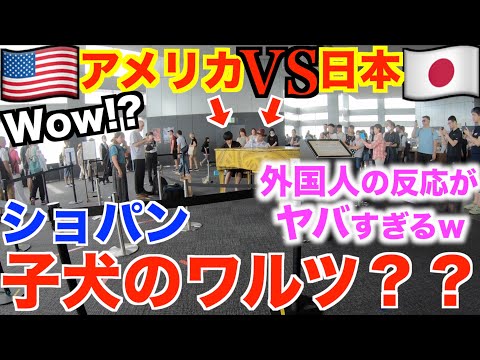 【アメリカ人VS日本人】ありえない子犬のワルツ弾いたら外国人が一瞬でとんでもないことにww【都庁ピアノ/ストリートピアノ/ショパン/ジェイコブ・コーラー×ヒビキpiano/Pianobros/ジャズ】