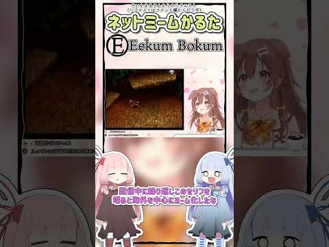 ネットミームかるた #1166 Eekum Bokum