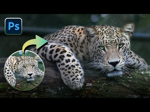 How to Edit Wildlife Photos Like a Pro!