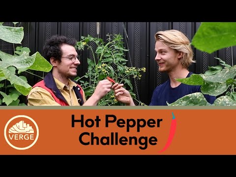 Mitch vs. Ben – Who can take the heat of Michelle’s hot peppers?