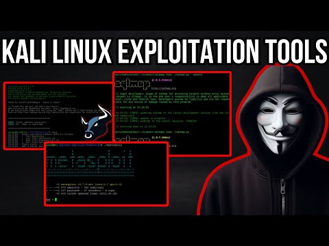 Top 10 Exploiting Tools in Kali Linux You Must Know