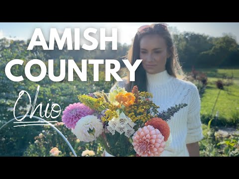 Day in My Life - Amish Country Vlog