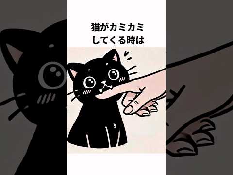 猫が噛んでくる時の心理雑学#shorts  #雑学