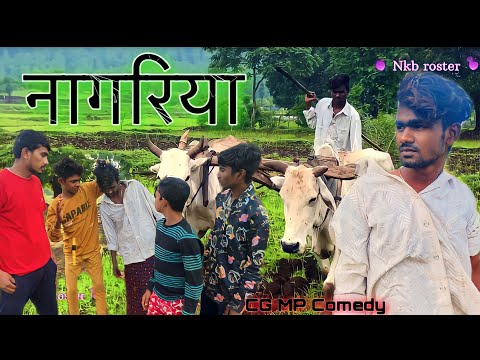 || #nkb_roster || नागरिया🌿||Mp Cg comedy video by || NKB roster