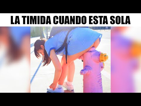 LA TIMIDA - RANDOM MEMES TODO EL DIA