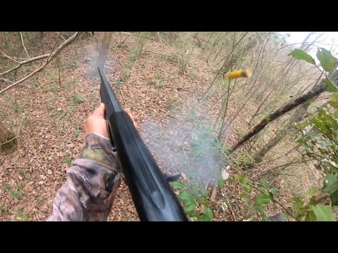 Virginia Rabbit Hunting 2024!! 11 Up 10 Down Multiple Kill Shots!! Epic Footage!!