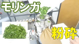 【モリンガ―パウダー】微粉砕機でモリンガを粉砕（ファインパウダーミル）