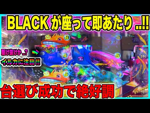 調子良さそうなBLACKに座ったらお座り即あたり!!絶好調の波に乗って勝ちに行く!!【P大海物語4スペシャルBLACK】