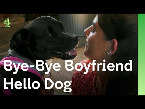 Can Staffy fix a broken heart? | The Dog House 🐶 | Gloria the Staffordshire Bull Terrier