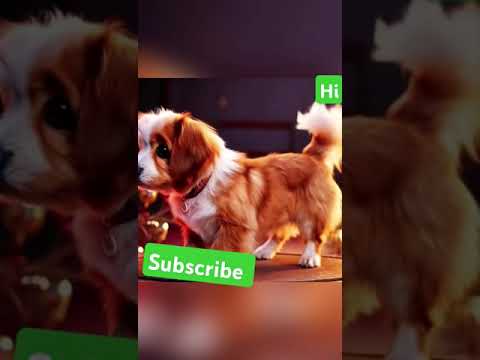 Cute dog barking and dancing #dog #shorts