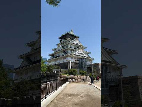 這角度是不是比正面美🏯#大阪旅遊 #大阪 #大阪城