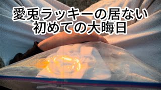 今年もありがとうございました！今年最後の動画　明るい動画は作れませんでした。