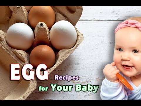 Baby Food || How to Introduce Eggs to Babies || 4 Easy Egg Recipes for Babies|| Toddlers Egg recipes