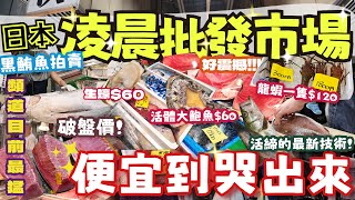 【日本漁港】頻道史上大企劃! 來到日本百年凌晨魚市場看鮪魚拍賣|一個月只開放兩天 沒有看過這種價格!|比活締神經締更先進的技術 第一次公開! 干物好吃到不吃魚的小孩直接光盤 #漁港 #魚市場 #日本