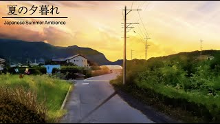 [ASMR/Ambience]Summer in Japan.Countryside at dusk./Insect, countryside ,summer sound /@Sound Forest