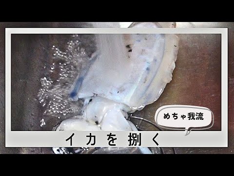 我流でイカを捌く