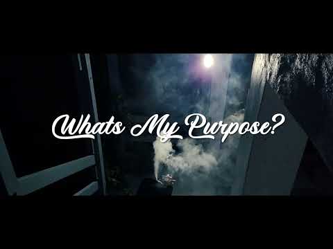 BusheDaPlug - Whats My Purpose? (Official Visualizer)