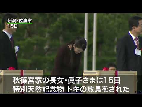 眞子さまがトキ放鳥　野生復帰10周年