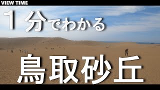 【１分で解説】鳥取砂丘　鳥取観光　砂熱すぎ注意🔥(ラクダ・パラグライダーできるよ)