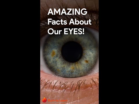 Amazing Facts About your Eyes!