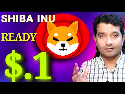 Shiba Inu Coin 2700 per cent Shibaruim Activity | Shiba Inu Coin News