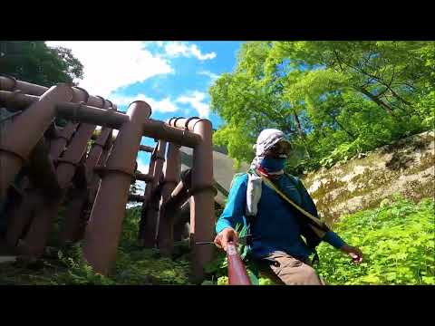 240629 山の神登山道トレッキング/ 栂池～ゴンドラ/ロープウェイ～栂池自然園～天狗原～山の神登山道～白馬乗鞍(まほろば倶楽部）