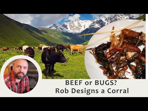 How to Design Livestock Systems So You Won’t Have to Eat BUGS