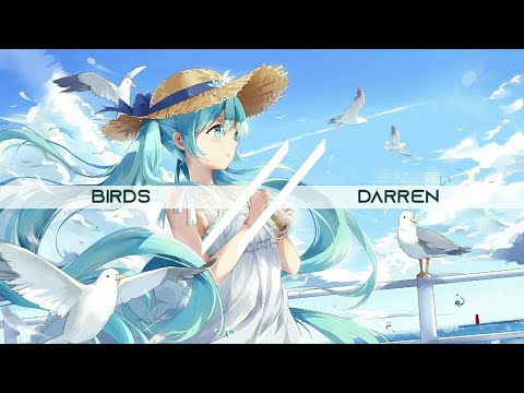 Birds - Darren