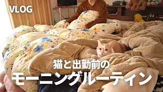 猫と会社員夫婦6時起き出勤前モーニングルーティン / 猫一匹と夫婦二人暮らし / VLOG / morning routine