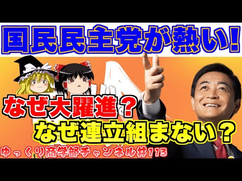 最強の28議席！？国民民主党はなぜこんなに注目されているのか？【ゆっくり解説】