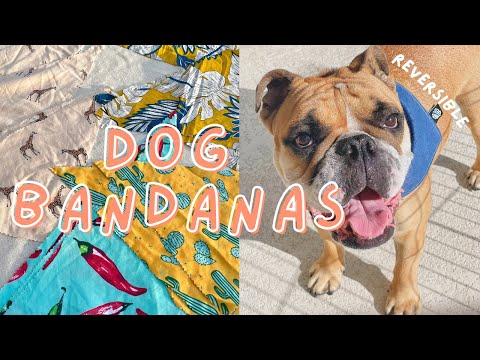 How to Sew Dog Bandanas