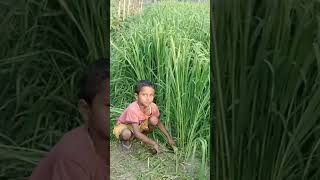 Krishak new video 2024