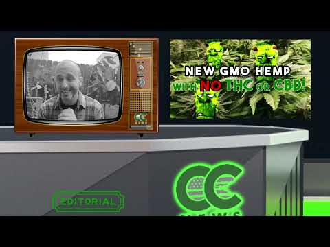 Cough Country News Editorial - What Steve thinks about the New CBD strain.