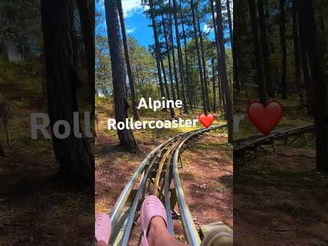 Alpine Rollercoaster Ride♥️ #travel #adventure #beautifuldestinations #tarveling #vietnam