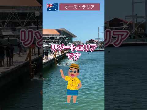 【オーストラリア】美しすぎるリゾート地！ヒラリーズボートハーバーをご紹介！　#海外 #オーストラリア  #旅行  #ヒラリーズボートハーバー #shorts