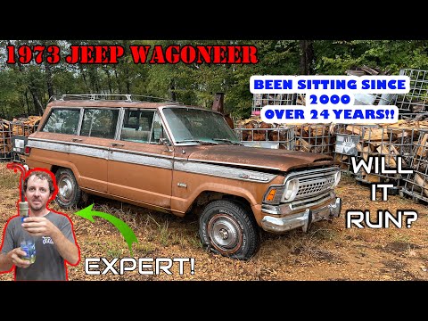 3 Non Carb Experts STRUGGLE To Start A Jeep Left Sitting For 25 Years